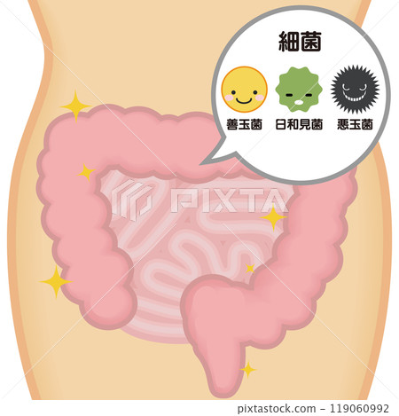 健康腸 119060992