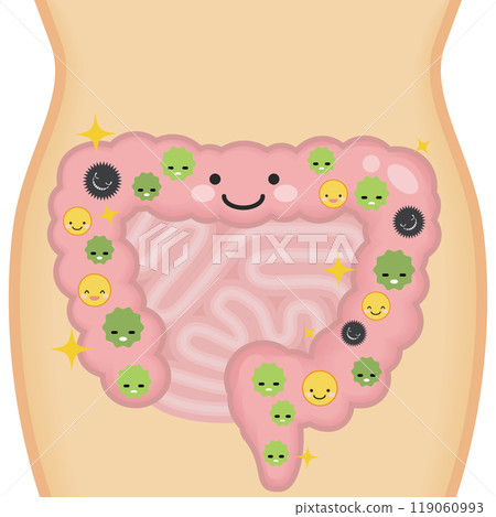 Healthy intestines 119060993