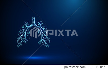 Abstract blue human bronchial tree structure. Lungs anatomy, left and right bronchus, bronchioles, trachea. Healthcare medical concept. Abstract blue human bronchial tree structure. Lungs anatomy, left and right bronchus, bronchioles, trachea. Healthcare medical concept. 119061044