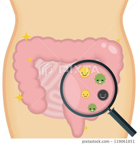 健康腸 健康腸 119061851