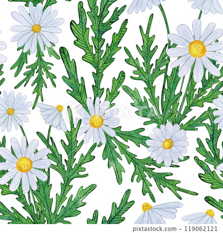 Chamomile flowers with white blooms, yellow centers, and detailed green leaves. Watercolor pattern of daisy buds, foliage, and greenery. Ideal for spring and summer prints, and botanical designs 119062121