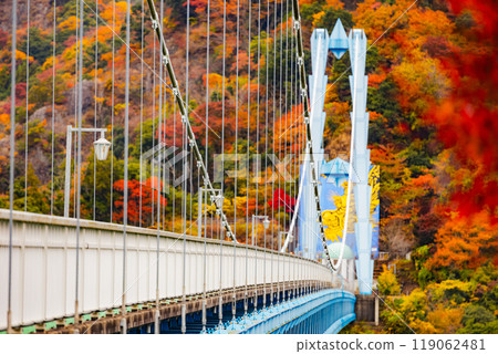 Ryujin大型吊橋 Ryujin大型吊橋 119062481