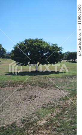 "A park landscape with a wide sky and grass, with a single tree standing there" "A park landscape with a wide sky and grass, with a single tree standing there" 119062506