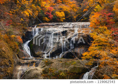 Fukuroda Falls Fukuroda Falls 119062543