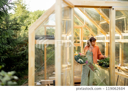 Woman in Greenhouse with Harvest Basket Woman in Greenhouse with Harvest Basket 119062684