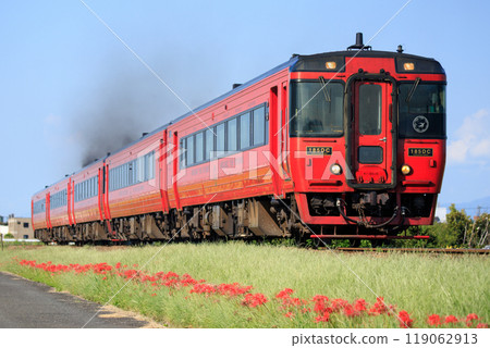 行駛在紅蜘蛛百合盛開的九大本線的特急「由布號」（JR九州） 119062913