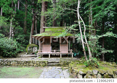 Muro Temple 119062953