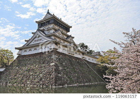 北九州市小倉北區的熱門旅遊景點小倉城和櫻花 北九州市小倉北區的熱門旅遊景點小倉城和櫻花 119063157