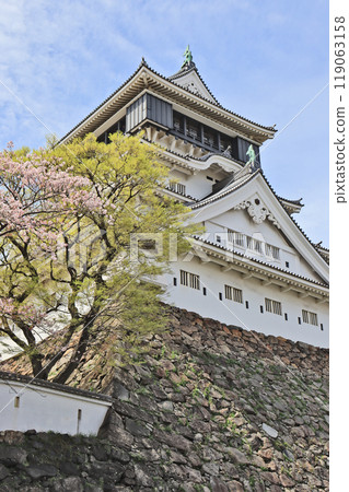 北九州市小倉北區的熱門旅遊景點小倉城的春天 119063158