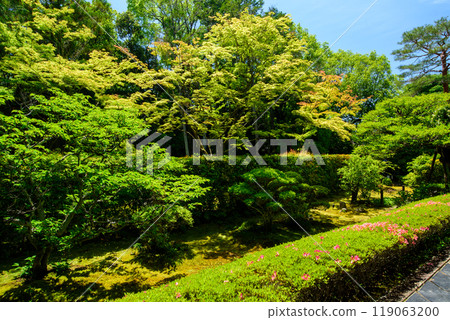 Shinnyo Garden at Keishun-in Temple, a Japanese garden in Kyoto 119063200