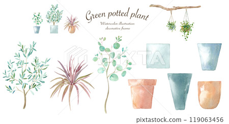 Watercolor illustration of plants and pots. Mixable plants and flower pots. Eucalyptus, olive, cordyline. Watercolor illustration of plants and pots. Mixable plants and flower pots. Eucalyptus, olive, cordyline. 119063456