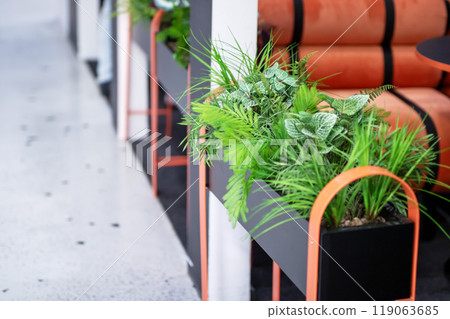 A row of beautiful potted plants is sitting on a shelf next to a cozy couch A row of beautiful potted plants is sitting on a shelf next to a cozy couch 119063685