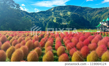 新潟縣越後湯澤的地膚風景 新潟縣越後湯澤的地膚風景 119064124