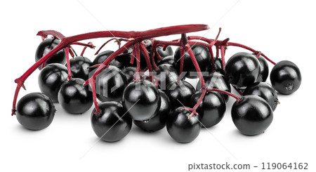 Ripe black elderberry or elder isolated on a white background. Sambucus. Ripe black elderberry or elder isolated on a white background. Sambucus. 119064162