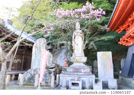 和歌山市君井寺院內風景 和歌山市君井寺院內風景 119065197