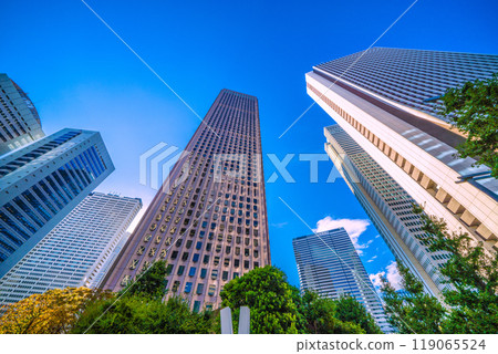 Tokyo cityscape in Japan in October. View of Kogakuin University, Tokyo Metropolitan Government Building, Shinjuku Center Building, Sompo Japan, etc. = 7th 119065524