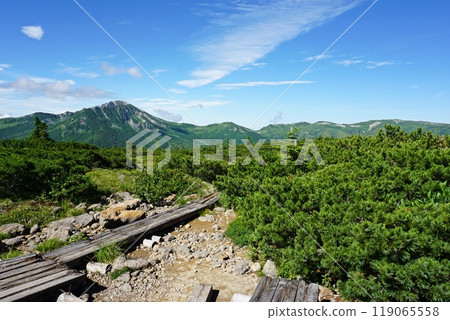 Kumonodaira: Scenery of the Japanese Garden 119065558