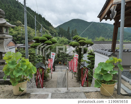 Zofukuji Temple (Furin Temple) in Toyota City, Aichi Prefecture Zofukuji Temple (Furin Temple) in Toyota City, Aichi Prefecture 119065658