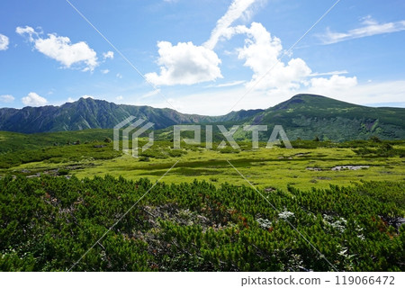 The scenery of Kumonodaira Alps Garden, Japan's last unexplored region The scenery of Kumonodaira Alps Garden, Japan's last unexplored region 119066472