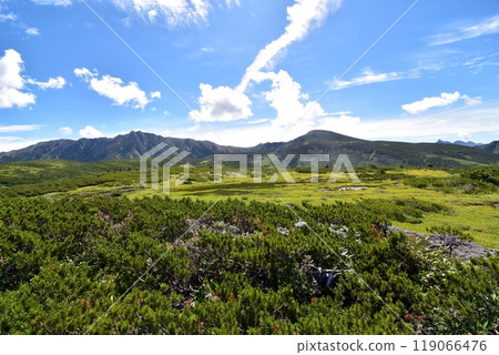The scenery of Kumonodaira Alps Garden, Japan's last unexplored region The scenery of Kumonodaira Alps Garden, Japan's last unexplored region 119066476