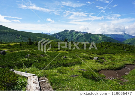 The scenery of Kumonodaira Alps Garden, Japan's last unexplored region 119066477