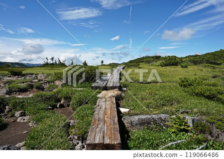 The last unexplored region of Japan: the scenery around Kumonodaira Alps Garden 119066486