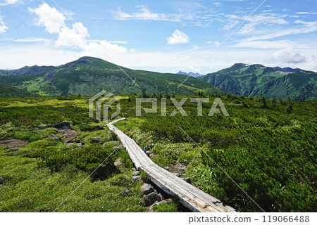 日本最後的祕境－雲平阿爾卑斯山庭園風光 119066488