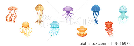 Jellyfish with Floating Tentacles as Ocean Fauna Vector Set 119066974