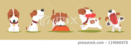 Funny Jack Russell Terrier Puppy with Cute Snout Vector Set 119066978