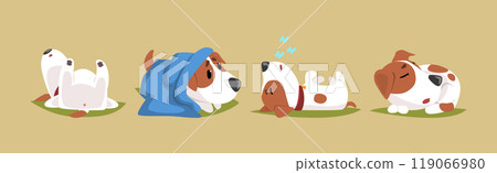 Funny Jack Russell Terrier Puppy with Cute Snout Vector Set 119066980