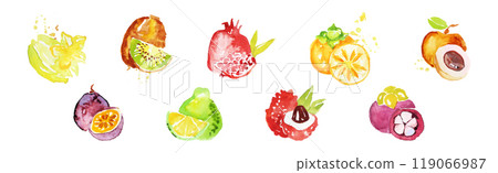 Bright Watercolor Fruit and Juicy Food Vector Set Bright Watercolor Fruit and Juicy Food Vector Set 119066987