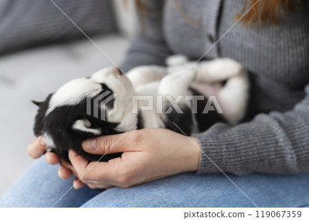 Person holding a sleeping puppy indoors 119067359