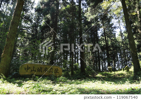 Nakayama Castle ruins (main enclosure) Nakayama Castle ruins (main enclosure) 119067540