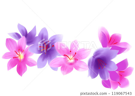 Saffron flower card 2 119067543