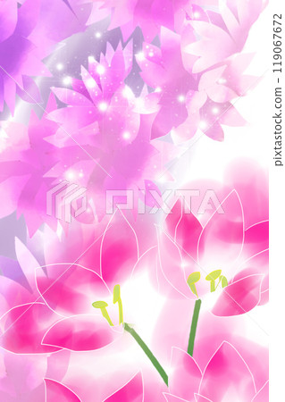 Colchicum flower card 10 Colchicum flower card 10 119067672
