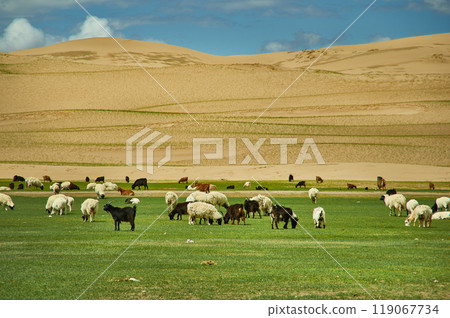 Sands Mongol Els Sands Mongol Els 119067734
