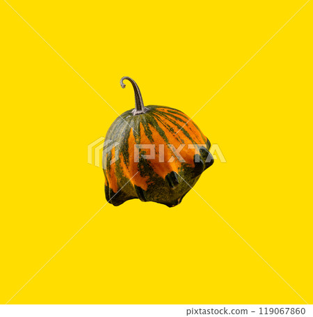 Pumpkin isolated on color background. 119067860
