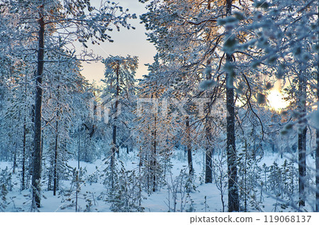 winter landscape winter landscape 119068137