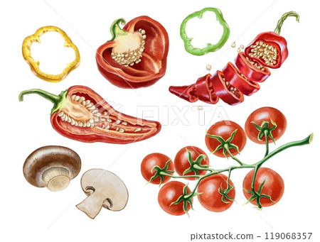 Clipart of collection fresh vegetables. Bell peppers, mushrooms and tomatoes. It can be used for packaging, pizza boxes, cafes, restaurants, grocery stores, website design or culinary blogs. 119068357
