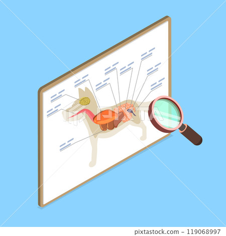 3D Isometric Flat Vector Illustration of Dog Anantomy, Internal Organ Examination Reveals A Dog Internal Organs 119068997