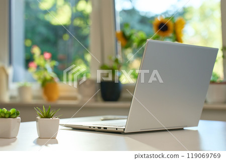 Modern laptop computer on white table in sunny home office. Remote workplace with laptop, potted plants and coffee mug on white desk 119069769