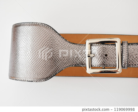 Silver snake leather belt with square buckle, stylish accessory for women 119069998