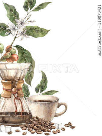 Cup with aromatic and fresh coffee prepared in a filter. Botanical flowers, branches and fruits of a coffee tree, roasted beans. Watercolor composition for cafe and shop design, postcards, banner Cup with aromatic and fresh coffee prepared in a filter. Botanical flowers, branches and fruits of a coffee tree, roasted beans. Watercolor composition for cafe and shop design, postcards, banner 119070421