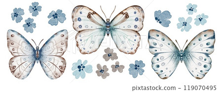 Butterfly Polyphemus set watercolor illustrations. Drawing of insect with light blue Wings on isolated background. Hand drawn clipart of Morpho for cards and icons. Vintage aquarelle sketch of animal. Butterfly Polyphemus set watercolor illustrations. Drawing of insect with light blue Wings on isolated background. Hand drawn clipart of Morpho for cards and icons. Vintage aquarelle sketch of animal. 119070495
