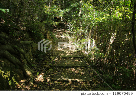 The road to Sengan Matsushima in Iwami Town, Tottori Prefecture The road to Sengan Matsushima in Iwami Town, Tottori Prefecture 119070499
