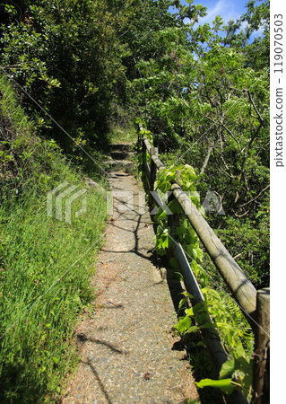 The road to Sengan Matsushima in Iwami Town, Tottori Prefecture 119070503