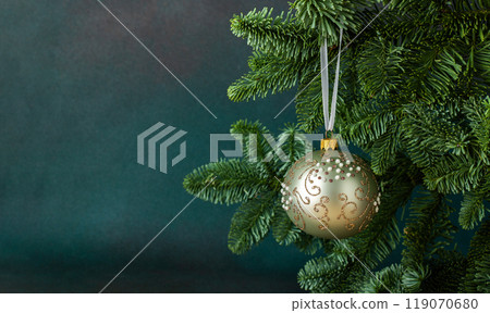 Christmas ball hanging on a fir branch 119070680