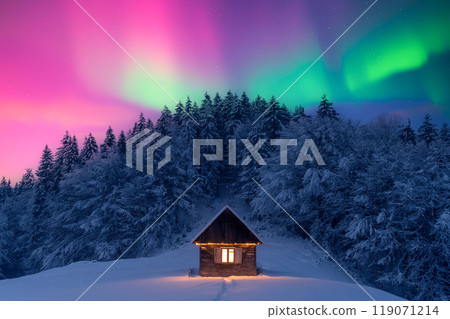 Cozy wooden cabin in snowy forest under incredible Northern lights 119071214