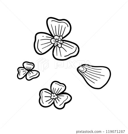 Black and white illustration of sakura flower petals in delicate outlines, perfect for botanical art, tattoo design, nature lovers, and minimalistic decor 119071287