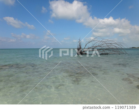 White sand beach with clear blue water White sand beach with clear blue water 119071389